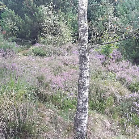 Hébergement de vacances Hytten *