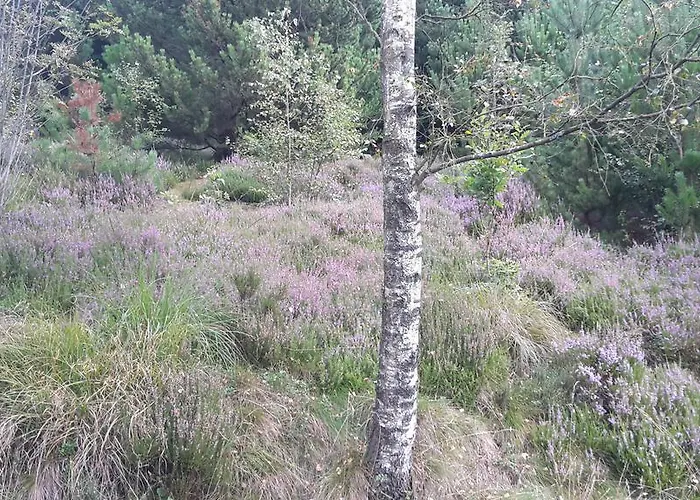 Ferienhaus Hytten *
